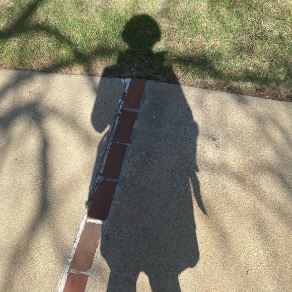 Meet your Posher, Lucy - Picture 1 of 3